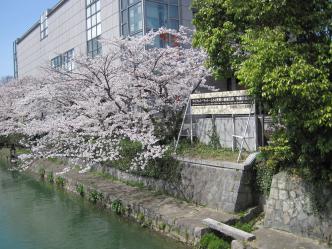 平安神宮方面へ