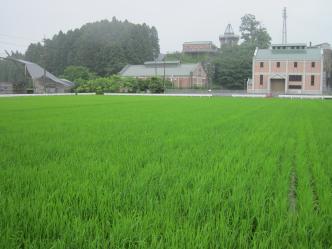 下山芸術の森発電所美術館 遠景