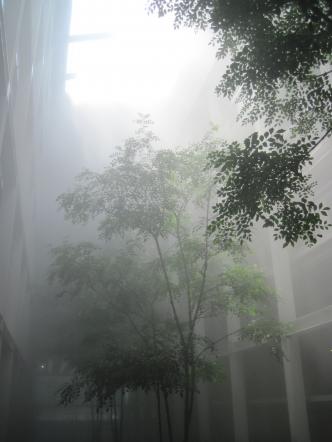 Cloud Forest1/Inside/YCAM