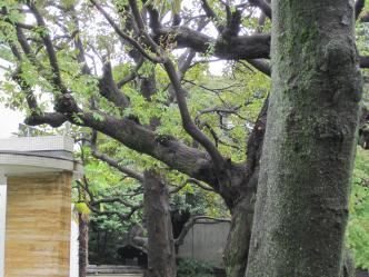 原美術館エントランス