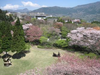 箱根彫刻の森美術館 ５月(3)