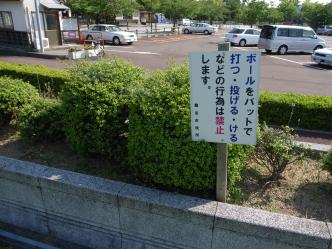ボールをバットで打ったり投げたり