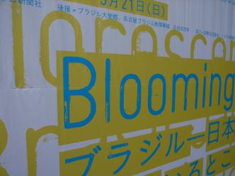 Blooming @ TMMA
