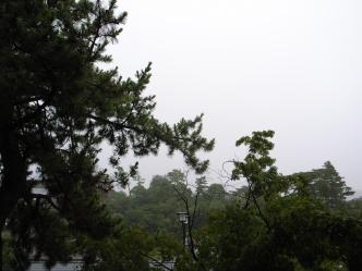 宮島フェリー乗り場から