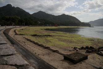 厳島神社大鳥居・遠景１